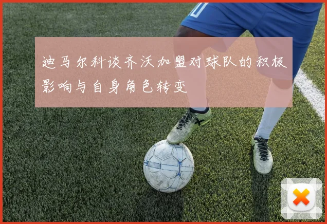 迪马尔科谈齐沃加盟对球队的积极影响与自身角色转变